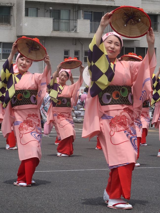 花笠まつりは、スゲ笠に赤い花飾りをつけた花笠を手にし、「花笠音頭」にあわせて街を踊り練りあるく日本の祭である。<br />山形県内など数か所で開催されているが、例年8月に山形市で行なわれる「山形花笠まつり」が広く知られている。<br /><br />花笠まつりの振り付けは、山形県内各地域別に約10種類存在していた。1963年（昭和38年）、それらの振り付けが一本化され「正調花笠踊り -薫風最上川-」が制定された。以降、これが標準的な振り付けとされたが、紅花摘みの作業唄からとったとされる、その楚々とした踊りの動作のため、主に女性が踊り手の中心となった。 <br />1999年（平成11年）、「正調花笠踊り -蔵王山暁光-」が、「薫風最上川」に並ぶ標準振り付けとして制定された。豪快な動作を取り込んでいるところが特徴であり、これにより男性の踊り手の増加に寄与したと言われる。 <br /><br />山形花笠まつり<br />山形市で開催される花笠まつりは「山形花笠まつり」と呼ばれる。例年8月5日・6日・7日の3日間開催され、パレードは文翔館正面から南西方向に伸びる県道19号山形山寺線および国道112号（七日町商店街ほか）で開催される。 <br /><br />元々山形市の伝統行事は、山形藩初代藩主である最上義光を祭る義光祭（ぎこうさい）であった。1963年（昭和38年）に「蔵王夏まつり」のイベントの1つとして「花笠音頭パレード」が始まった。その後、1965年（昭和40年）から「山形花笠まつり」として独立し、現在に至る。 <br />（フリー百科事典『ウィキペディア（Wikipedia）』より引用）<br /><br />山形花笠まつり　については・・<br />http://www.hanagasa.jp/<br /><br />東北絆まつり2019福島 <br />開催日　　2019年6月1日(土)・2日(日)　2日間 <br />パレード開催時間:　6月2日(日)12:30-15:00<br />福島市内　旭町交差点―＜国道4号＞―仲間町交差点―＜腰浜町町庭坂線＞―福島文化学園前　　約1.1kmを往復<br /><br />東北絆まつり/福島　については・・<br />http://tohoku-kizunamatsuri.jp/<br />
