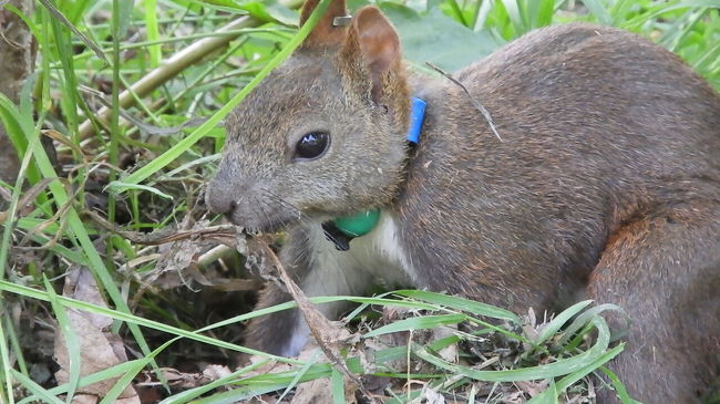 ２０１９年８月 どこかにマイル第７弾 その３ 再び帯広