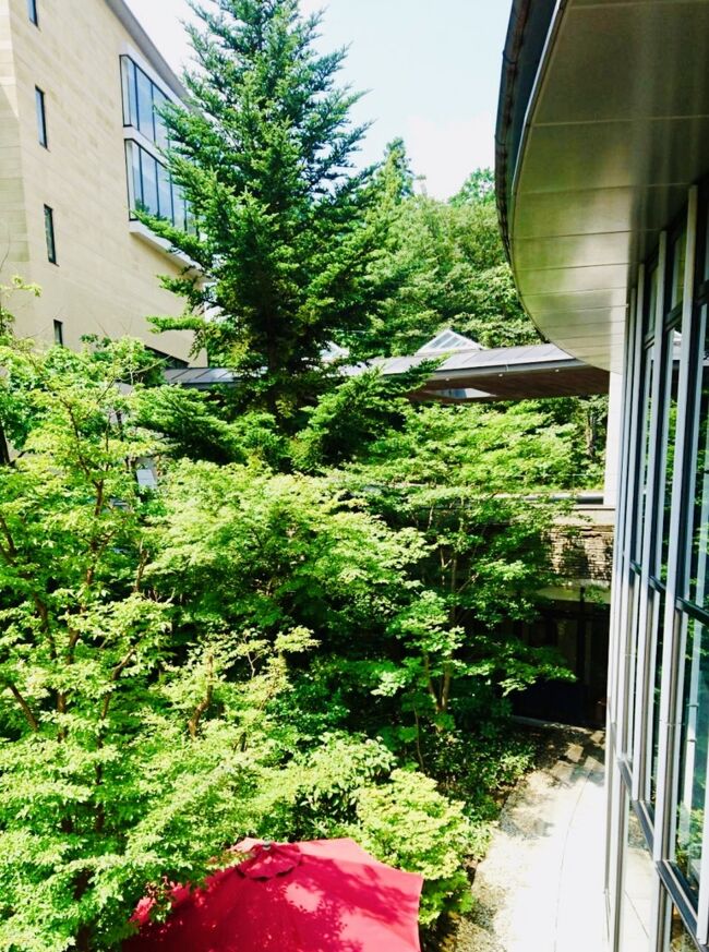 箱根唯一の外資系ホテル<br />ブログや口コミの評価が高かったので以前から1度宿泊してみたいと思っていました(^^)<br />1番リーズナブルなお部屋に宿泊しましたが56平米もあり広くてビックリ(´⊙ω⊙`)快適に過ごせました!1番の楽しみはラウンジでのアルコールのサービス☆非日常感を十分味わう事ができ贅沢な時間を過ごすことができます☆<br /><br />全80室<br />IN15:00<br />OUT12:00