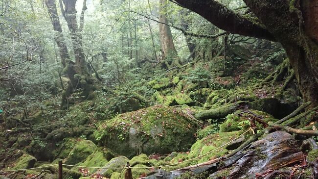 ＧＷ屋久島＋南九州旅行４