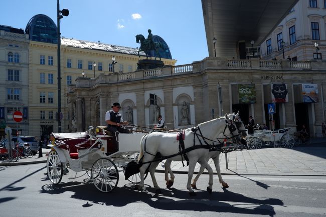 ウィーンと言えばパッカパッカと街を行き交う馬車の蹄の音。<br /><br />３歳&amp;７０代シニア連れ、ウィーンを楽しむのにこれ以上優雅な交通手段はないじゃないか！？と馬車（フィアカー）でウィーンの街を巡りました♪<br /><br />【ウィーンの馬車（ファイアカー）】<br />時間：１０時から<br />☆ショートコース（旧市街を回る約20分）は55ユーロ<br />　short city tour:20 min für EUR 55<br />☆ロングコース（リング通りと旧市街を回る約40分）は80ユーロ<br />　grande city tour: 40 min für EUR 80<br /><br />フィアカー乗り場：シュテファン広場、ミヒャエラー広場、アルベルティーナ広場、ペータース広場、ブルク劇場横/フォルクスガルテン<br /><br /><br />【旅程】<br />□1日目 6／30 成田→ウィーン<br />ウィーン泊<br /><br />□ 2日目 7／1 ザルツカンマーグートへ移動(レンタカー)<br />＊メルク修道院立ち寄り　 ザンクト・ウォルフガング泊<br /><br />□3日目 7／2 <br />ザンクト・ウォルフガング泊<br />＊登山鉄道でシャーフベルク へ　<br /><br />□4日目 7／3<br />ザンクト・ウォルフガング泊<br />＊ハルシュタット散策&amp;ヴォルフガング湖 クルーズ・ザンクト・ギルゲン散策<br /><br />□5日目 7／4アニフ(ザルツブルク近郊)へ移動(レンタカー)<br />アニフ泊(ザルツブルク近郊)<br />＊ヘルブルン宮殿　Trick Fountainツアー<br /><br />□ 6日目 7／5<br />アニフ泊(ザルツブルク近郊)<br />＊ザルツブルク観光&amp;ホテルザッハーでお茶<br /><br />□ 7日目 7／6ウィーンへ移動(レンタカー)<br />ウィーン泊<br /><br />■ 8日目 7／7 <br />ウィーン泊<br />＊朝カフェ、馬車（フィアカー）でウィーン観光、美術史美術館、MQ<br /><br />□ 9日目 7／8 両親:日本へ帰国<br />私達:ウィーンからブダペストへレンタカー移動<br /><br />□ 10日目 7／9 両親:日本到着 <br />私達:ブダペストからサラエボへ<br /><br />