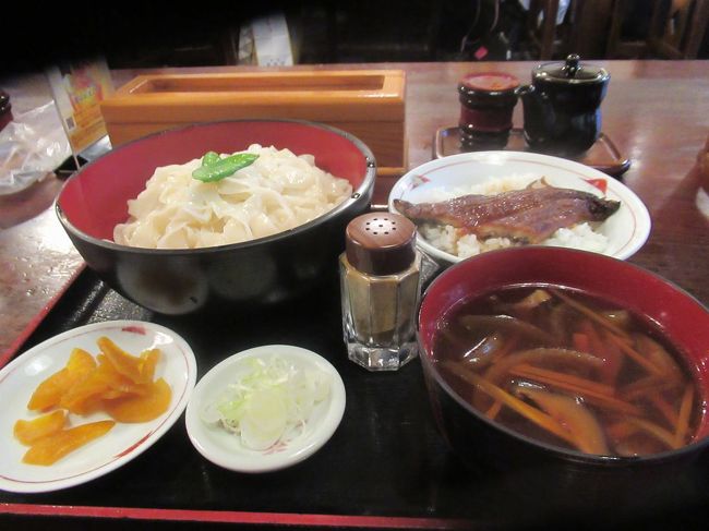 夏旅2019甲府・静岡（５）名物「ほうとう」を冷やして食べる「おざら」と甲府駅前ホテル
