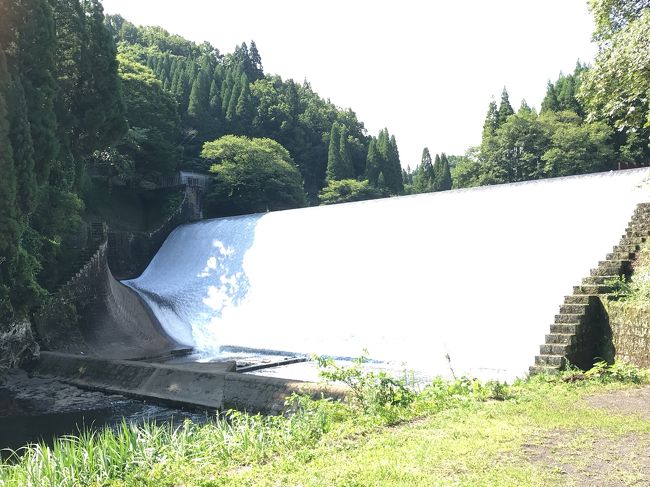 夏真っ盛り、とうもろこしを求めて竹田のすごう道の駅へ行く途中、日本一美しい白水ダムで涼を求め、音無井路十二号円形分水で水田の美しさと歴史の知恵を感じました。<br />余談ですが、竹田温泉  花水木温泉(ハナミズキ)の中に.この円形分水や白水ダムのミニチュア版があり、そこから温かい温泉が流れるようになってます。<br /><br />朝早く出かけたので、帰りは野津原のななせ街道でランチ。初めてのお店でしたが、美味しく頂きました。スイートコーンは帰って早々にレンジで五分チンして食べました。最高に美味しかったです。