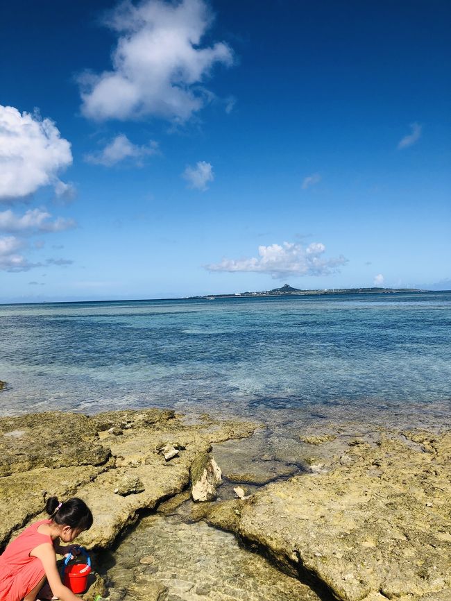 7月29日から8月2日、4泊5日の沖縄旅行!<br /><br />今回初めて個人手配旅行だったので不安もあったけど、結果サイコーの旅になりました!<br /><br />過去大型ホテルにしか泊まったことがなかったんですが、今回は小型のホテルやコンドミニアムを選択してみました!<br />これが本当よかった!<br />
