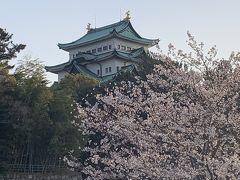 名古屋城と桜