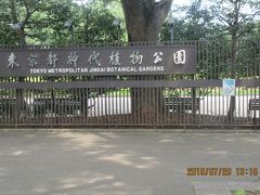 神代植物公園：猛暑日に訪れました