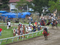 ５年ぶりに、相馬野馬追祭へ行ってきました。!(^^)!