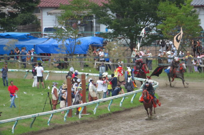 旅行社のツアーで、５年ぶりに相馬野馬追祭に行ってきました。<br />新幹線で福島まで行って、そこから観光バスで初日は、松島海岸と塩釜神社を回り仙台市内に宿泊です。<br />２日目は、仙台市内のホテルを朝６時に出発して、名取のゆりあげ港朝市で自由昼食をとった後、南相馬に向かい朝９時半から相馬野馬追祭を見学して、午後６時半過ぎ福島発の新幹線で帰京しました。