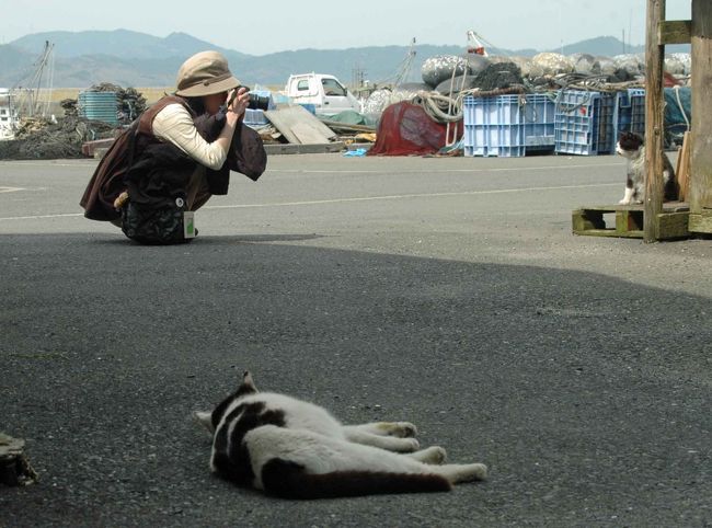 2010年ゴールデンウィークに石巻を訪れました。<br />今回は猫島の猫三昧の様子をご覧ください。