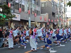 ぞめきのリズムに誘われて　「第28回　東林間阿波踊り・サマーわぁ！ニバル」2019