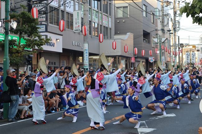 ぞめきのリズムに誘われて　「第28回　東林間阿波踊り・サマーわぁ！ニバル」2019