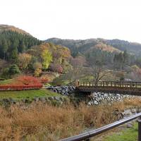 初福井の旅。福井にはすごい遺跡があるぞ。一乗谷朝倉氏遺跡編①