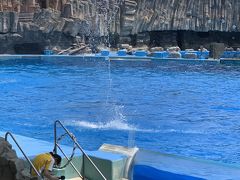 夏休みにぴったり！名古屋港水族館！