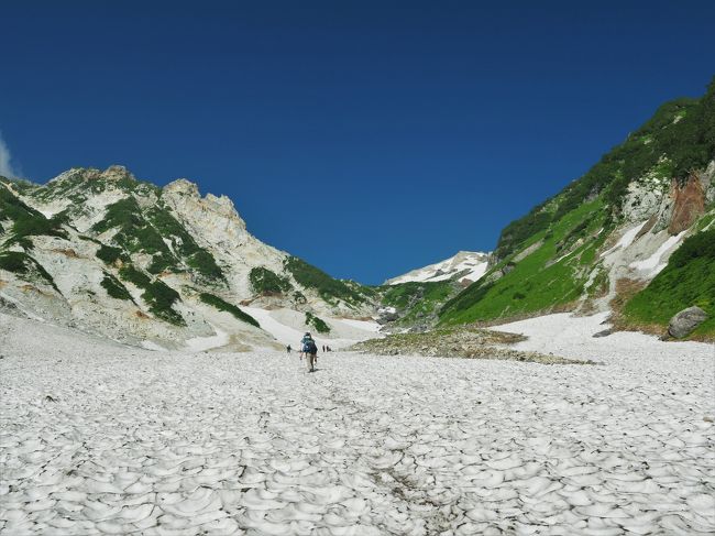 花の名山　白馬岳登山旅行　その1憧れの大雪渓と花が咲き乱れるお花畑編