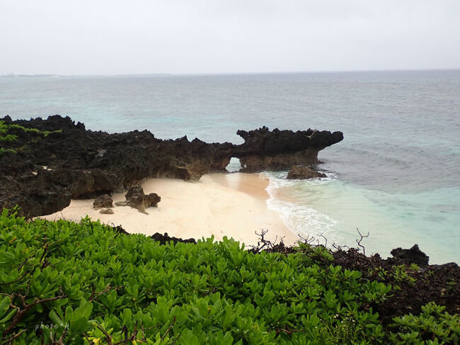 楽しみにしていた夏旅。初めての与論島へ。６月２２日から５泊で、義父母を連れて４人で行ってきました。<br /><br />３日目は唯一の晴れ天気予報でした。干潮時間は早朝ということもあり、これは気合を入れるしかねーべ！！！と５時頃に起き、カーテンを勢いよく開けるとーーーーー<br /><br /> <br /> 雨ー！！！Σ(ﾟДﾟ) <br /><br /> <br />ミ( ﾉ＿ ＿)ﾉ=3 ｽﾞｺ！<br /><br /> <br />や、なんとなく、そんな予感はしていたのだよ(ﾉД`)ｼｸｼｸ<br />でも、もう起きちゃいましたし、なんだか悔しいので出かけてやりましたよっ（*´∀｀*）あ、もちろん、夫婦二人で。義父母はまだお休み中です。<br /><br />〈旅行記〉<br />◇家族で与論島旅行〈１〉悪天候の与論島へ<br />　https://4travel.jp/travelogue/11521998<br />◇家族で与論島旅行〈２〉プリシアリゾートヨロン<br />　https://4travel.jp/travelogue/11522014<br />◇家族で与論島旅行〈３〉雨の日観光<br />　https://4travel.jp/travelogue/11523234<br />◇家族で与論島旅行〈４〉雨の日シュノーケリング<br />　https://4travel.jp/travelogue/11525400<br />◇家族で与論島旅行〈５〉薄日がさしてきたっ(≧▽≦)<br />　https://4travel.jp/travelogue/11525703<br />◇家族で与論島旅行〈６〉赤崎サンゴの森＆百合ヶ浜ツアー<br />　https://4travel.jp/travelogue/11526219<br />◇家族で与論島旅行〈７〉悪天候で部屋で過ごした日<br />　https://4travel.jp/travelogue/11527632<br />◇家族で与論島旅行〈８〉最終日にやっと見られた青空<br />　https://4travel.jp/travelogue/11527950<br />◇家族で与論島旅行〈９〉乗り継ぎ時間で那覇観光<br />　https://4travel.jp/travelogue/11528364