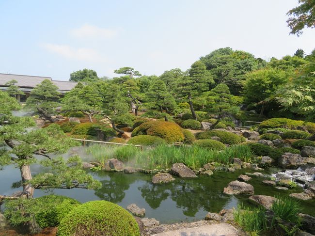 八雲の庭園♪霧の苑路♪涼風ミスト20μ♪八岐大蛇の竜渓滝♪枯山水♪回遊式庭園♪2019年８月 足立美術館･境港･由志園･玉造温泉･松江１１