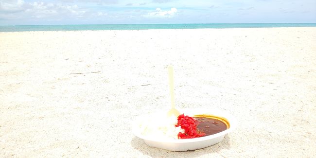 ちょっと早めの夏休み。<br />今回は去年ふるさと納税をしてもらった「JALふるさとへ帰ろうクーポン」を利用して航空券を買いました。<br />去年キャンペーンをしていた沖縄県のとある自治体がなーんと返礼率が50パーセントだったのですよ!(現在は受付終了)<br />ダンナ納税分だけで航空券を買い、(ちょっと足した位)当初、沖縄本島に行こうと計画していたのですが、ふと確認したらクーポン期限が今年9月半ばまで。<br />これはいかんと計画を練り直し、残っていた私の分で那覇~久米島分の航空券も手配できました。<br />いつも夏の久米島ツアーは高いのであきらめていましたが、やっと行けることに。<br />う、うれしい~!(^^)!<br /><br />4泊5日の旅行記です。更新が超ノロノロですが、気長にお付き合いくだされば幸いです。<br /><br />イーフビーチホテルに4泊宿泊。<br />Agodaにて最安値予約。(予約の際にいろいろ心配な点がありましたが。初日編に書きました)<br />デラックスツインオーシャンビュー指定、朝食付き。<br />一人一泊 13,044円<br /><br />二日目前半、目玉のはての浜です。