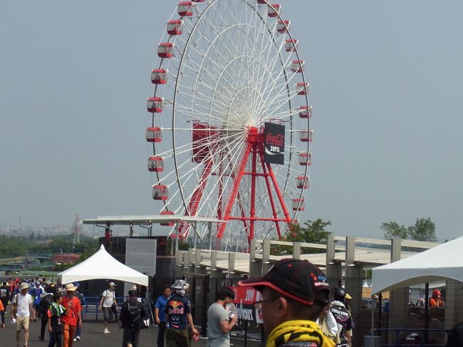 鈴鹿サーキットで行われている”8耐”こと、鈴鹿8時間耐久ロードレースに行ってきました。<br /><br />バイクやレースに詳しくない人でも一度は耳にしたことがあるんじゃないでしょうか。<br /><br />Wikipediaによると、<br />鈴鹿8時間耐久ロードレースは、FIM世界耐久選手権の1戦として毎年夏に鈴鹿サーキットで開催される日本最大のオートバイレース。通称鈴鹿8耐。<br /><br />夏の鈴鹿を彩る名物レースの一つで、オートバイによる8時間の耐久レースである。2017年現在は午前11時30分にスタートし、日暮れから日没をまたいで終盤はナイトレースとなり、午後7時30分を過ぎた直後にトップのチームがゴールラインを通過した時点で終了となる。 <br /><br /><br />結果は、応援しているチーム(Kawasaki Racing Team=KRT)が優勝。<br />と書くのは簡単ですがこれに至るまでいろんな出来事が...。<br /><br />今年はYAMAHA、HONDA、KAWASAKIの3メーカーがワークスで参戦。<br />予想通りこの3チームがレースを引っ張りバトルを繰り広げていました。<br />(私たちは夕方に現地を離脱し、おうちでCSで観戦)<br /><br />そして辺りが暗くなってきて残り6分を過ぎた頃、ラスト2分の悲劇を生む<br />出来事が起こります。(8耐と並行して行われている)世界選手権の優勝目前だったスズキ・エンデュランス・レーシング・チームのマシンがエンジ<br />ントラブル。火を噴きながらオイルを撒きリタイアします。<br /><br />このチームの監督、引退が決まっておりそのセレモニーも実施されていて、<br />そのうえ優勝も決まりそうということでなかなかライダーがバイクを降りなかったんですね。それでかなり広範囲にオイルを撒いていたようです。<br /><br />ふつうならここで赤旗が振られてセーフティーカーが出てそのまま終了、<br />になると思うのですがなぜかレースは続行。<br /><br />この時点でKRTのジョナサン・レイは1位を走行。しかし昨年、雨の中転倒し優勝を逃したのです。いやな予感しかありません。でもこのまま行けば優勝は間違いなし。カメラはKRTのバイクを追っています。ラストラップ。残り2分。今年こそは、と思っていたすべてのカワサキファンの見守る中で転倒ーー。<br /><br />オイルを踏んでしまったんですね。そして転倒した瞬間、赤旗。<br />そこまでレースに詳しくない私は、失格か...と思ってましたが、解説の方々やネット情報によると赤旗が振られるとその前の周でリザルトが決まる、というではありませんか。うーん。<br /><br />しかしKRTは転倒後レースに戻ることができなかったので除外、という判定がでます。で、YAMAHAの優勝が決定。混乱のまま(仮)表彰式が行われ、私ふてくされて寝る→しかし眠れずにネットチェック→KRT優勝→うそやん→目が覚める。<br /><br />私がふて寝している間に、KRTが運営側に抗議。他15チームからも抗議があり、それを受理して1.KAWASAKI、2.YAMAHA、3.HONDAという結果に落ち着いたらしい。<br /><br />上に書いたように、最終的にはKRTが優勝しましたがなんとも後味が悪い。<br />来年こそは現地でカワサキの優勝を目にして、みんなでお祝いしたいなー。