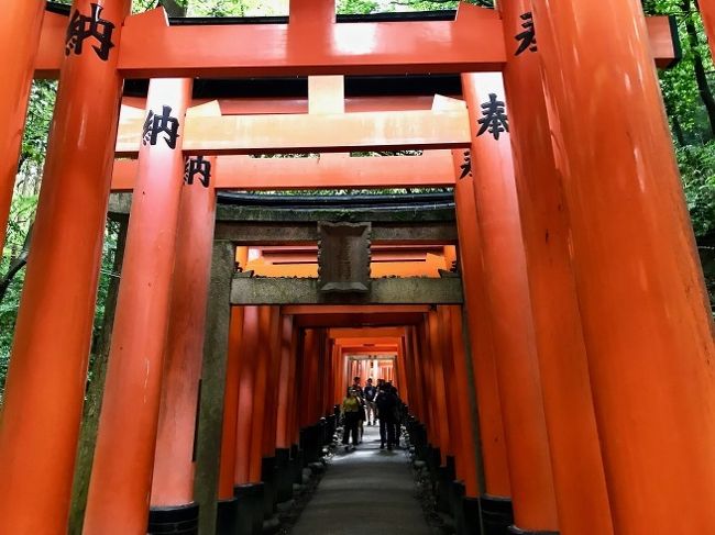 6月は初夏の京都へ。。。<br />一泊二日の短い旅でしたが、予定がだいぶ前に決まっていたので<br />西芳寺（苔寺）や鈴虫寺など、<br />以前から訪れてみたかった場所を効率的にまわりました。<br /><br /><br />本来の目的は別にあったのですが（笑）。<br /><br /><br />初日は早い新幹線で京都入りし、伏見大社をめざします。<br />2週間ほど前に転んで腰を打撲（仙骨にひび）した身体に<br />あの階段はとてもキツかったです（汗）。<br /><br />