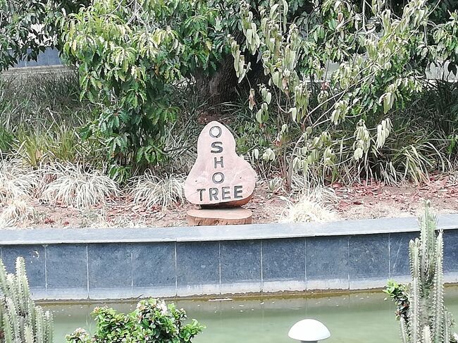 OSHOが悟りと得たジャバルプールのOSHO TREE<br />OSHOが少年時代を過ごしたガダルワラ