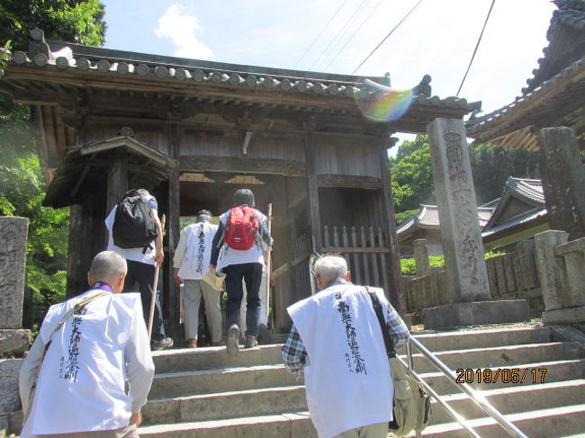 四国は全体にうどんの上手い土地柄だ。四国という気候のせいか土地柄なのかは知らないが、讃岐うどんは全国的にも有名で、金毘羅詣での参詣客は門前の店で必ずや１－2杯のうどんを食べるだろう。隣町の丸亀も全国的なチェーン店で好評だ。四国産の小麦がうどんに合っているのかも知れない。うどんは又饂飩と書いて、中国のお寺の斎料理にもなっていて、これも又昔弘法大師が中国から持ち帰り、この四国の地に根付かせたのかも知れない。以前上海の静安寺の斎食堂で饂飩を食べたが、食感は讃岐のうどんの方が美味しいと思った位だ。<br /><br />讃岐に限らず、ここ徳島でもうどんは美味しく、吉野川流域の半田うどんなども全国的な好評を得ているが、今日お昼を食べた焼山寺の麓、裏に垢取川が流れているうどん店、ここ田中食堂の素うどんも美味しかった。丼うどんに薬味のネギだけ。つまみに沢あん。これだけで十分美味しく頂ける。後で聞いたら、グループの中の若い人、いつも自分の写真の前に映っている若い男性だが、7杯お替りしたとのこと。自分は3杯止まりにしておいたが、中には４－５杯食べた人も何人かいた。それぞれ自慢しあっていた。<br /><br />そのせいかどうか、後からやってきた歩き遍路のフランス人と日本人男性の二人組は、もう出すうどんは残っていない、と店からシャットアウトされた。長い坂道を下りおり、楽しみにしていたお昼に有りつけず、随分とがっかりした表情だった。我々ツアー客にはうどんの他にちらしの弁当も配られたが、可哀想になって、自分の分を二人にくれてやった。誰か他に追随する人がいるかと見ていたが、自分以外に誰も分けて与えてはいない。彼等には日本人は案外冷たいと映ったかも知れない。<br /><br />うどん店を出ると、目の先に学校がある。神山町の一番最奥の集落。以前は人口も多く、小中の併設学校だったが、人口減で今は廃校になっている。食堂の小母さんの話ではこの学校の窓ガラスが珍しく、何かの記念物に登録されているとのことである。その田中食堂から4－5分歩いて、ツアーバスの駐車しているお遍路道の駅まで戻る。道の駅と言っても何もない。ツアーバスからマイクロバスへ乗り換える為の駐車場があってトイレがあるだけだ。その駐車場の奥の日陰ベンチで先のフランス人お遍路がいて、美味しそうにちらし弁当を食べている。ああ、自分も少しはお接待ができたのか・・。<br /><br />バスは再び神山町の市街地を通り抜け、吉野川流域に出て、次に吉野川市にある第十一番藤井寺に向かった。今は広域合併で、吉野川市とか吉野中央市などが生まれているが、ここは昔の鴨島町。昔は鴨の飛来地だったかも知れないし、藤井寺も名前の通り、藤で有名なお寺とのことだ。山門の先に大きな藤棚があって、藤の名所、先月は見事だったとのこと。さて、これからお参りだ。<br />