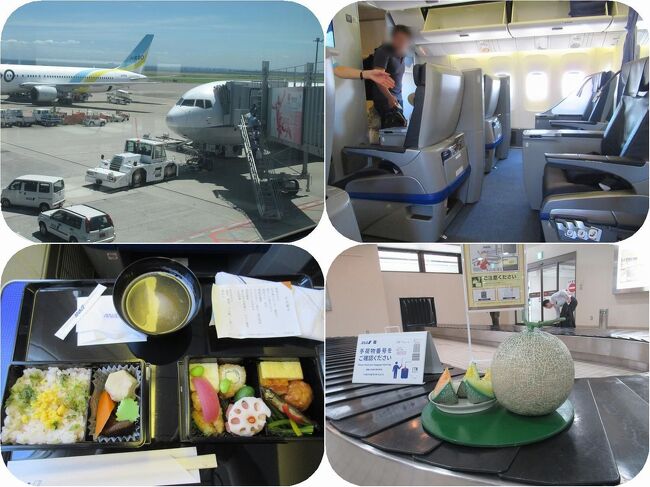 真夏の暑さが続く毎日ですが、今回は山形、秋田、青森と東北三県を巡る旅に出ます。<br /><br />初日は羽田空港からANAプレミアムクラスに乗って山形県の(おいしい)庄内空港へ。<br />夏旅2019。第三弾の始まりです。<br />