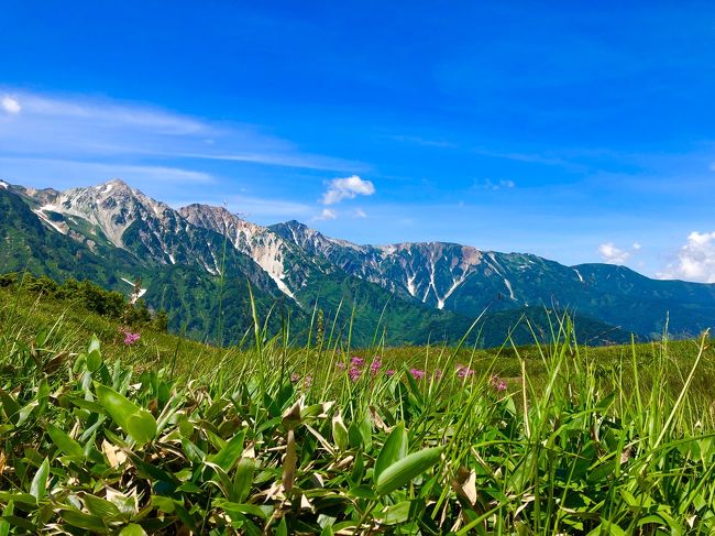 恒例となりました夏山登山。<br />昨年TVで唐松岳を登る山番組を見て「来年は絶対にここに行こう！」と決めていました。<br />大変ではあったけれど天候にも恵まれ素晴らしい大パノラマを真近で見る事ができ高山植物も咲き乱れ、テンション上がりっぱなしの山旅となりました。