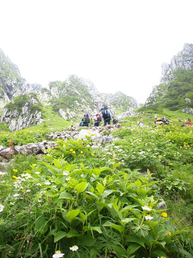 百名山第七段 木曽駒ヶ岳へ  2  天空へ向かう花の道