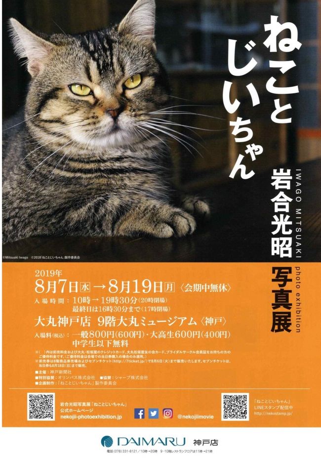 岩合光昭さん初監督作品『ねことじいちゃん』を記念しての<br />写真展が大丸神戸店にて昨日(8月7日)より開催中です。<br />岩合さんの猫写真展ならば、何をおいても播磨ねこ宮殿からも<br />拝観に参れ・・・とのチョナ~の王命が我らが<br />『のんき茂野&Eじいさん』名指しにて下る!<br />夜も眠らず昼寝している2人・・・昼も食べずに朝食を済ませ<br />神戸に向かう!!!