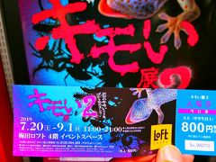 2019年　8月　大阪府　大阪市　キモい展2