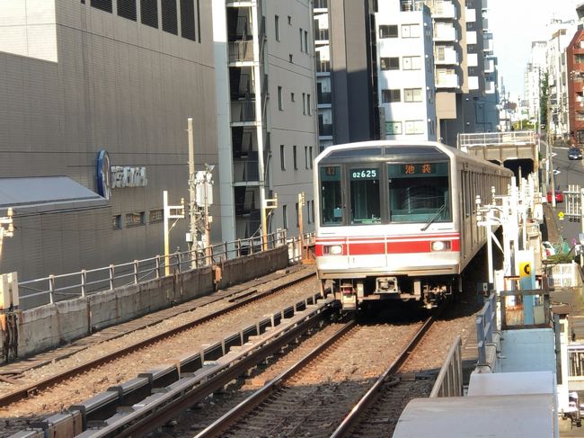 　2019年8月2日仕事を終えてから3日にかけて東京へ行ってきました。<br />　鉄道情報サイト「レイルラボ」の乗りつぶし乗車率アップを目指して、東京メトロ・都営地下鉄ほかに時間が許す限り乗ってきました。<br />　東京への往復はＡＮＡ便、前週に続く航空機利用です。<br />　溜池山王駅から南北線・丸ノ内線・新宿線と乗りつぶして、レイルラボの東京メトロ・都営地下鉄全線再踏破となりました。