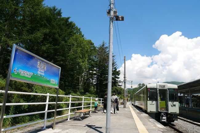 長野県小諸から山梨県小渕沢を結ぶ日本一の高原鉄道JR小海線<br />かつてこの小海線に通称ポニーと呼ばれていたＣ５６と言う蒸気機関車が走っていた<br /><br />小学校６年の夏の<br />ある朝<br />隣の部屋に寝ている祖父が毎朝聞いているラジオ、確かTBSのおはよう片山竜二です<br />なにやらラジオで中継をしている<br /><br />日本一の高原鉄道小海線の蒸気機関車Ｃ５６からのライブだった<br />シュッツ、シュッツ、シュッツ、シュッツと言うなんとも歯切れのいい蒸気音・・<br /><br /><br />わ～、凄いなっ<br />見たい<br />行きたい<br />行こう！！<br /><br />そして１１月３日文化の日<br />上野６時１６分発の急行妙高で３時間かけ小諸へ<br />日帰りの初めてのひとり旅<br />それから何回通ったかな<br /><br />そんな小海線へ久しぶりに行ってみよう<br /><br />色々な縁がある<br />現佐久市の中込<br />当時は小海線の基地、中込機関区があった<br />その駅前に、あるカメラ店がある<br />その代表が一昨年六本木ミッドタウンフジフィルムスクエアで素晴らしい写真展を開いた<br />「走れ 小海線」<br />実は、奥さん共々に長い旧知の友だ<br />その彼を訪ねての今回<br /><br />走れ！小海線よ<br /><br /><br />