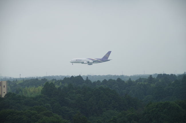 旅のスケジュール<br />7月4日 成田発 09:15 香港着 13:10 CX509<br /> 香港発 15:00 プーケット着 17:35 KA264<br /><br />7月8日 プーケット発 18:25 香港着 23:05 KA215<br />7月9日 香港発 00:55 成田着 06:30 CX524 <br /><br />宿泊ホテル カオラックラグーナリゾート<br />前泊 ホテル日航成田<br />航空会社 キャセイパシフィック航空、キャセイドラゴン航空<br />座席クラス ビジネスクラス<br />旅行代理店 名鉄観光<br /><br />旅行代金 <br />基本代金(5日間)137,800<br />1泊延泊代金 8,500<br />成田空港使用料 2,610<br />現地空港諸税 8,930<br />国際観光旅行税 1,000<br /><br />合計 158,840円<br /><br />前泊代金 14日間駐車料金無料 スタンダードダブル素泊まり 26m2 11,250円<br /><br />タイsimカード TURE MOVE 8日間データ通信無制限 100B分無料通話付き<br />2枚で840円(アマゾン)<br /><br />為替レート 1B 約 3.5円<br /><br />撮影機材 iPhone X PENTAX Ks-2<br /><br />旅行者 夫:穏やか 妻:酒飲み