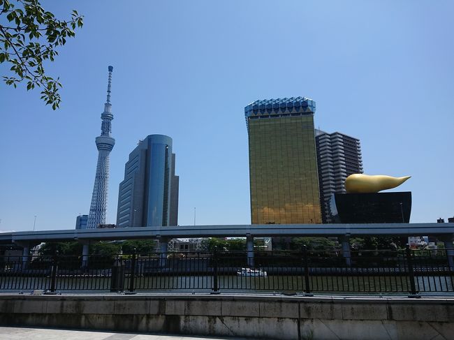 東京ドームでのライブ参戦を主目的に、3日午後にJALにて東京入り。<br />京急→都営地下鉄の乗り入れの便利さと、ドームへの利便性を考え、今回は浅草橋に宿泊しました。<br /><br />今年オープンしたばかりのイチホテル浅草橋。<br />外国人観光客を意識した、和と洋が融合した空間デザインはとても素敵でした！<br /><br />エントランスにはほおずきの鉢植え。<br />自由に過ごせる、ドリンクバー付のダイニングエリア。<br />インテリアとしても映えるビリヤードもあり、久しぶりにプレイを楽しみました&#128518;<br />宿泊者用のコーヒーマシーンもあるので、24時間くつろげる一階スペースになってました。<br /><br />居室もとてもスタイリッシュで、アメニティ達の見せる収納、電化製品やtrashboxを程よく隠す収納は、インテリアの参考になりました。<br /><br />そして何といっても女子的にヒットしたのは、ミラブルシャワーヘッド&#8252;️あの、頬の油性マジックを落とすCMの商品だと思うのですが。。<br />これが全室完備されているなんて、驚きです。<br /><br />とても細かいミストシャワーで、つるっつるになりました&#10024;癒しのシャワータイムでした！<br /><br />快晴の翌日は、浅草を散歩しながらベストポジションでスカイツリーを眺めつつ、招き猫で有名な今戸神社へ。<br />四つ葉のクローバーや猫の置物に溢れた、とても癒される空間でした。<br /><br />そこから浅草寺に向かう途中、ﾏﾀﾞｲというおしゃれなカフェレストランに遭遇しました。<br />大根尽くしの縁結び定食という、とても魅力的なランチをオーダー。<br />どれも優しい味わいで、健康的なランチが頂けました。<br /><br />その後は東京大神宮に足を伸ばし、今のご縁に感謝すると共に、これからも固い絆と深い愛情に恵まれますようにとお願いをしてきました。<br /><br />花の香りおみくじも&#10024;大吉&#10024;<br />背中を押してくれる、ありがたい言葉の数々が記されていました。<br />お揃いのお守りを頂き、ミストで溢れる境内で一休みして、帰路に着きました。<br /><br />とても心温まる、夏の東京を味わった旅になりました&#9786;️