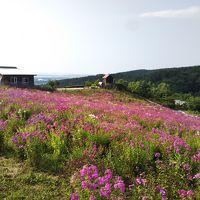 2019夏　北海道・道東オホーツクへ家族旅行