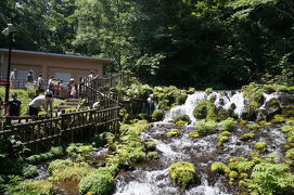 19'8月夏。羊蹄山を臨む夏のニセコと京極子連れ旅行記♪マイナスイオン溢れる「ふきだし公園」とうどんが美味しい「野々傘」へ☆