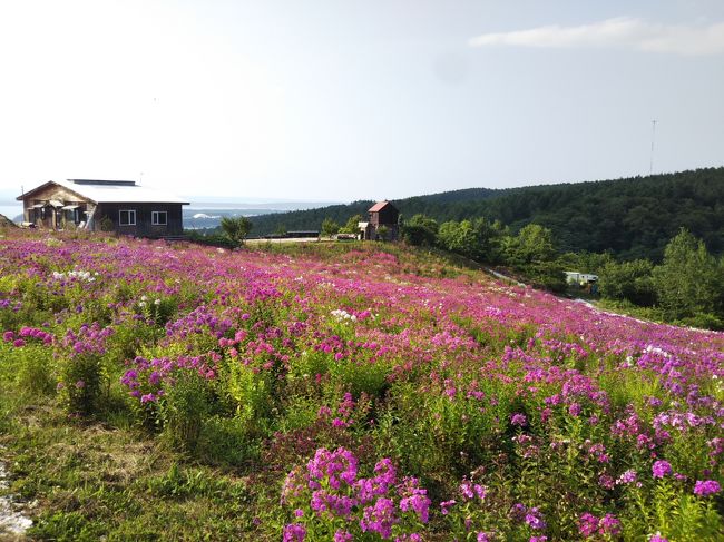 3年前の北海道道東旅行（帯広・摩周湖・知床・釧路）に続き、今回の北海道旅行も道東方面を選びました。<br />今回は、十勝、層雲峡から北見を通って網走を巡り、オホーツク海を少し北上して紋別まで行き、旭川、富良野を経由して新千歳空港に戻る4泊5日のプランです。<br />レンタカーで千キロと少々走りました。<br />もう少しゆったりプランでも良かったのですが、たまの北海道旅行なので、どうしても欲張りプランになってしまいました。<br />それでも天気にも恵まれ、観光もグルメも楽しめた旅行になったと思います。