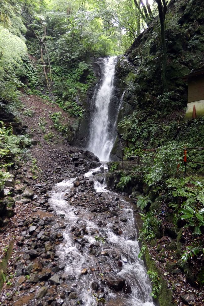 万葉公園の文学の小径を散策して、２．２６事件の現場光風荘を外から見学した後は、バスで不動滝を見に行きます。<br /><br />何度か見てきた不動滝ですが、梅雨らしく水量が多く見応えがあります。<br />