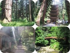 真夏の東北三県巡り（３）国宝羽黒山五重塔：神々しい光に包まれた継子坂の杉並木を歩いて