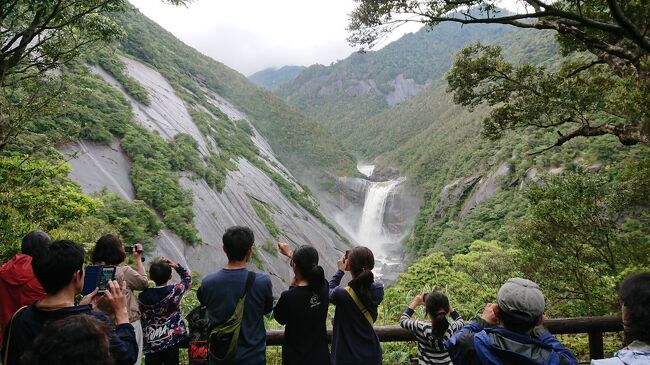 ２０１９年のゴールデンウィークに、思い切って屋久島に行ってきました。<br />勝手に秘境と思っていましたが、思ったより鹿児島から近く、島へ行く方法も飛行機、フェリー、高速船と色々な方法があり、案外アクセスしやすいです。<br />私は旅行好きで、日本国内外、色々なところに行ったことがありますが、日本人としてもっと早く屋久島に行っておくべきだった～と思いました。<br />「まあ、悪いこと言わんけえ、屋久島に行ってみんさい」（広島弁）と皆さんに言いたい！！<br />ただし、滞在の３日間、ほぼ雨（山は土砂降り）でした・・・<br />だけど、みなさま、それでも屋久島おすすめです！<br />この旅行記は、３日目の「白谷白雲峡」の後の「滝巡り」などについてです。<br />表紙の写真は、「千尋の滝」です。<br /><br />日程<br />４月２８日　広島から車で８時間、指宿市の鰻温泉で一泊<br />４月２９日　高速船で指宿港から屋久島へ。<br />　　　　　　ヤクスギランドでトレッキング。ＪＲ屋久島ホテル泊。<br />４月３０日　白谷雲水峡トレッキング。滝巡り。ＪＲ屋久島ホテル泊。<br />５月１日　　西部林道方面ドライブ。夕方高速船で指宿港へ。指宿泊　　　<br />５月２日　　指宿滞在（親戚の家）<br />５月３日　　南鹿児島方面ドライブ。人吉泊<br />５月４日　　広島へ帰る<br /><br />予約は、ＪＲ屋久島ホテルはじゃらんで２泊、２食付き、レンタカー付プラン。<br />高速船は、トッピー＆ロケットのホームページから予約。