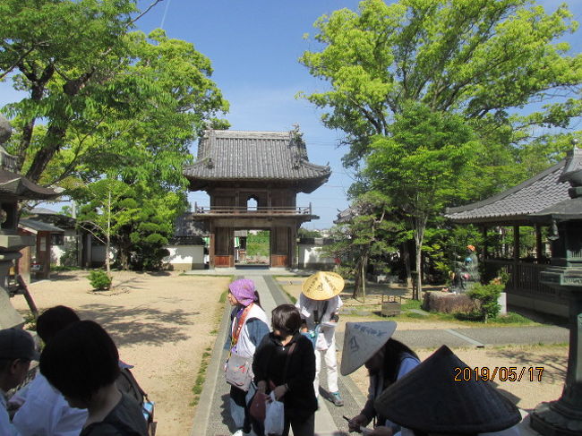 藤井寺から同じ吉野流域にある第九番法輪寺に向かった。お寺は川の反対側にあり、吉野川に架かる大きな橋を渡る。以前、この辺りで、「うだつ」で有名な脇町に来たことがあったが、この流域の近くだろう。近くには藍染めで有名な藍住町とか、川の流れを堰き止める、第十堰などもあって、以前司馬遼太郎の「街道を往く」の中にこの周辺の紹介があって、レンタカーで回ったこともあったが、それから数十年、今は高齢になって、お遍路参詣団の一員になって、この大河を渡っている。<br /><br />さてその法輪寺は藍ではなく、タバコの葉の畑が広がる平野の中にあった。そんな関係からか、この寺は別名、田中の法輪寺とも呼ばれている。吉野川に近い畑地の中にあって、水害を心配するが、幸に川が氾濫した、という災害は無かったようだ。畑の中に建っているお寺だから、駐車場も山門の直ぐ横にあって、バスを降りたら、その直ぐ隣が山門だ。二層の立派で見栄えの良い山門。鐘楼門になっていて、２階部分には鐘が吊るされているとのことである。江戸末期、この寺がほぼ全焼したが、この山門だけは火災を免れた。<br /><br />山門から真っ直ぐ先、前方に本堂があり、その横に大師堂が並んで建っている。すっきりした感じのお寺だ。ここはお釈迦様がご本尊とのことである。いや、それも寝ている姿、涅槃の釈迦牟尼で、涅槃釈迦像の本尊は八十八寺の中で、このお寺だけとのことである。真っ直ぐ本堂に向かい、全員でお釈迦の真言を唱和する。のうまくさんまんだ　ぼだなんばく。比較的覚えやすい真言、陀羅尼。隣の大師堂にも同じようにお参りし、この寺を後にする。