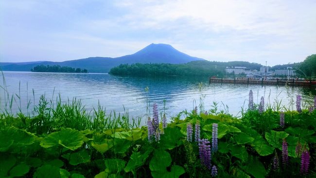 令和初の旅行は道東ロングドライブ一人旅。<br />飛行機はマイル特典、レンタカーとホテルは割引クーポンを利用してかなりリーズナブルに旅行することが出来ました。<br />天気にも恵まれ、満足度の高い4日間でした。