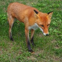 2019年夏休み 北海道温泉巡りの旅 9泊10日 (2) ～「塩別つるつる温泉」「チミケップホテル」