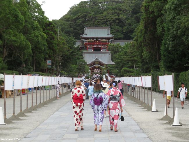 5年ぶりに鶴岡八幡宮のぼんぼり祭（81回目）に行ってきました。<br />立秋の前日から8月9日まで、鎌倉近在の名士たちによって揮毫された書画が雪洞に仕立てられ、境内に飾られます。<br />1938年（昭和13年）に祭りが始まった当時は、鎌倉在住の文士たちを中心に揮毫された書画は150点ほどだったそうですが、近年は400点ほどの書画が奉納されているそうです。<br />日没と同時に雪洞に灯が入れられるのですが、早めに退散した為、幻想的な雰囲気を味わうことはできませんでした。<br /><br />ぼんぼり祭の期間中には、<br />7日の夏越祭（なごしさい）、8日の立秋祭（りっしゅうさい）、9日の実朝祭（さねともさい）の三つの祭典が行われるほか、奉納の音楽会・俳句会・短歌会・茶会・華会などが開催されます。<br /><br />ぼんぼりに灯が入った様子は、5年前のぼんぼり祭をご覧ください。<br />https://4travel.jp/travelogue/10916149<br /><br /><br />