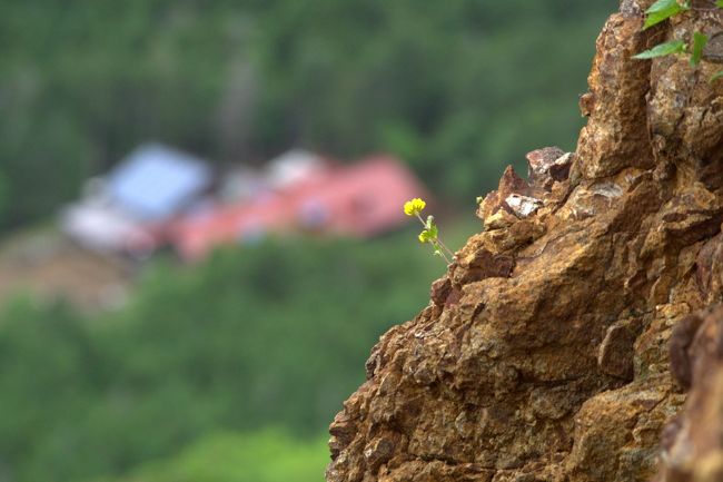 行者小屋でテント泊し、赤岳登山。