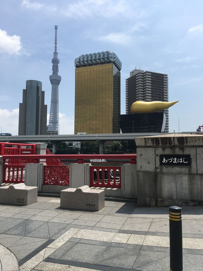 もう、立秋ですが暑い日が続きます。<br /><br />先日、友人と約束していた、暑くなったら<br />庶民の味方のドジョウを久しぶりに食べに行こう<br />を実現しに友人と長男と3人で本所吾妻橋に<br />行って来ました。<br /><br />浅草には、某有名などぜう鍋屋がありますが<br />混んでいて、ゆっくりできないので、会社の<br />先輩から教えてもらったお店に向かいます。<br /><br />予約は、できないお店です、テーブル席は<br />一つしかなく、座敷きは辛いので、開店前に<br />店で友人と待ち合わせました。<br /><br />歳とともにせっかちが、加速され、早く着いて<br />しまいましたが、友人も30分前に着いたと<br />店の前で合流して開店を待ち、テーブル席を<br />キープ出来ました。<br /><br />庶民の味方というものの、天然もののドジョウは<br />貴重で、既に高級魚になってます。<br /><br />久しぶりのドジョウ堪能しました。<br /><br />その後、こだわりのコーヒーを飲んで<br />充実したお盆休暇初日を過ごすことができました。<br /><br />