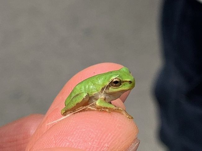 草津好きの仲間とまた4人で草津温泉<br /><br />湯めぐりを楽しみました