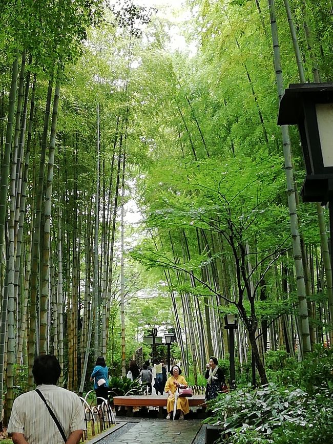 久しぶりに三姉妹+義兄の4人で修善寺温泉へ。<br /><br />修善寺温泉といって思い出すのは35年位前に修善寺駅で映画評論家の淀川長治さんに会い優しい言葉をかけていただいたこと。<br />忘れられません。<br /><br />今回お宿は 湯回廊 菊屋さん<br />お湯よし、食よしで超満足!<br />日本の良さをしみじみ感じました。<br /><br />