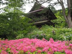 群馬県で参拝してみたかったお寺さんがあったので沼田へ行き、寺社巡りついでに観光もしてきた　