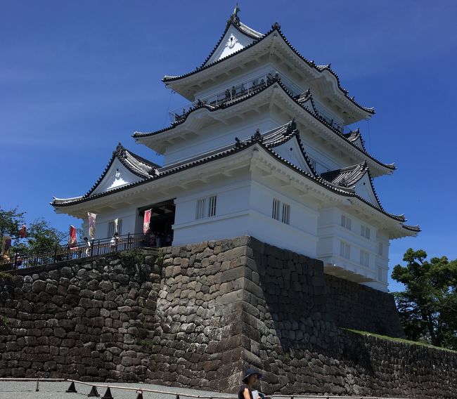 夏休みに家族で箱根 ホテルおくゆもとへ行ってきました。帰りに小田原城へ♪